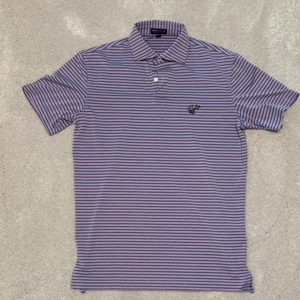 Peter Millar Purple and Blue Striped Polo
